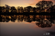 Start Fotogalerie - spreewald2