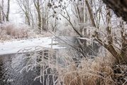 Start Fotogalerie - winterland1